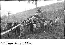 Maibaumsetzen 1967