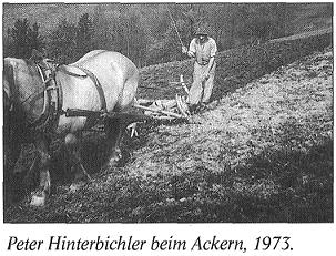 Peter Hinterbichler beim Ackern, 1973